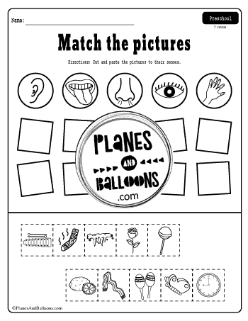 Five senses worksheets free printable