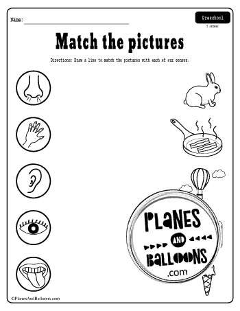 Five senses worksheets free printable