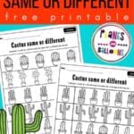 cactus theme same or different worksheets